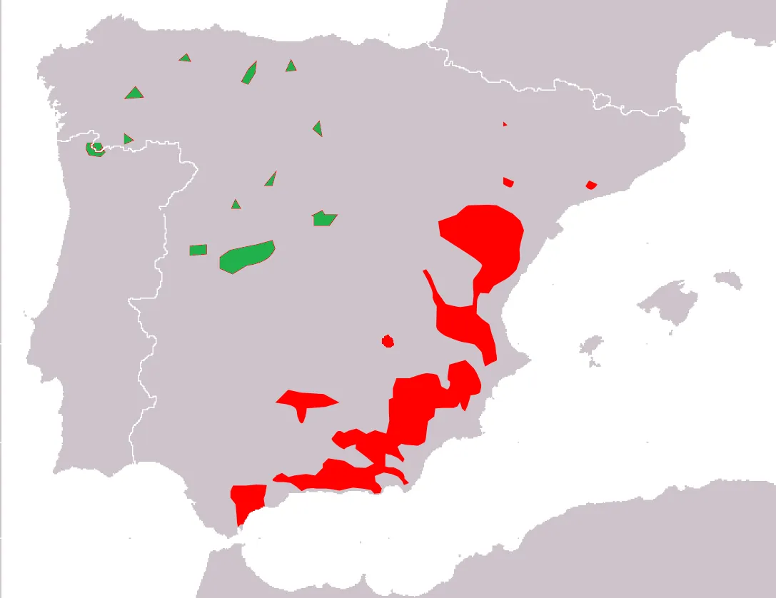 Cabra Montés Ibérica