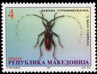 Great Capricorn Beetle