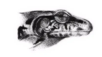 Rana Ladrona Polimorfica