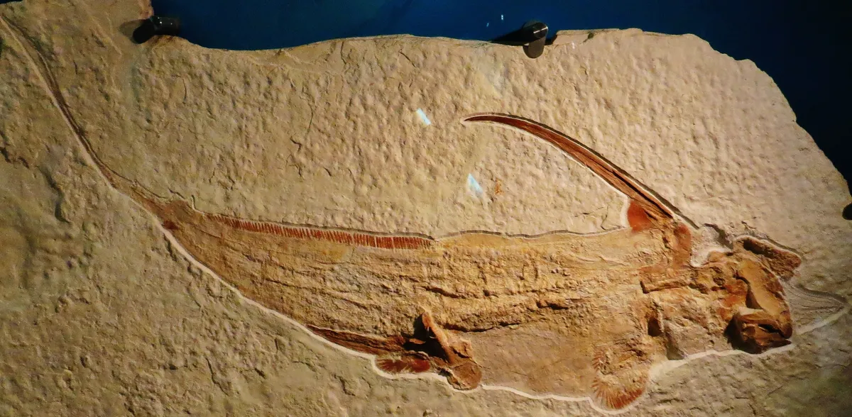 Quimera de Quenstedt