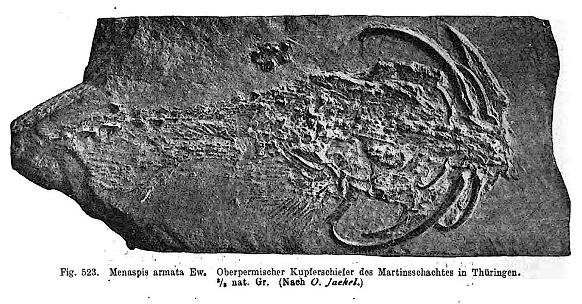 Quimera Fósil Blindada