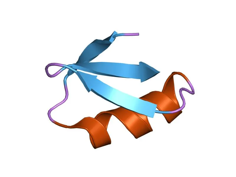 Escorpión Bútido Europeo