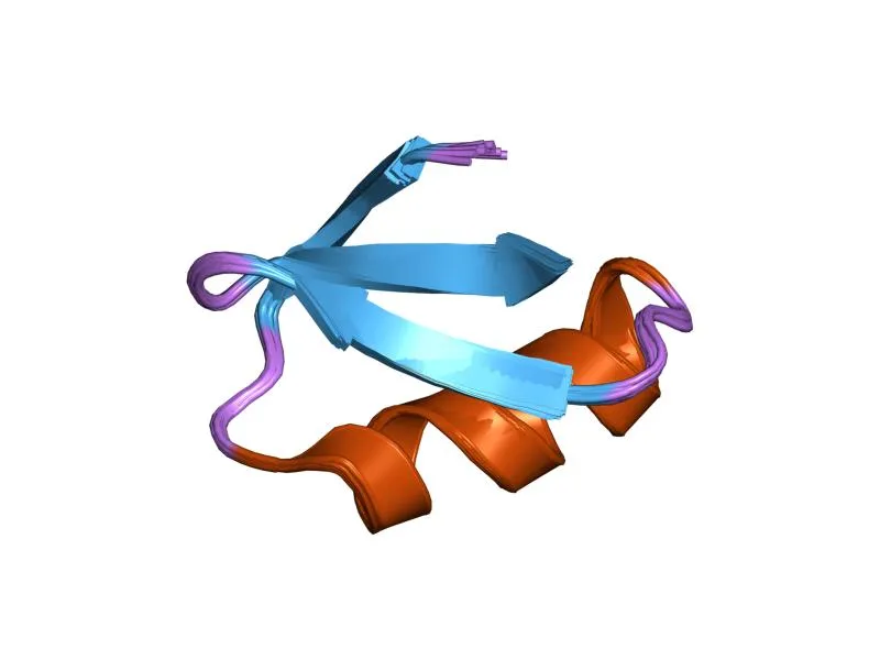 Escorpión Bútido Europeo