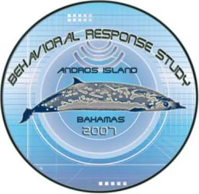 Ballena de Pico de Blainville