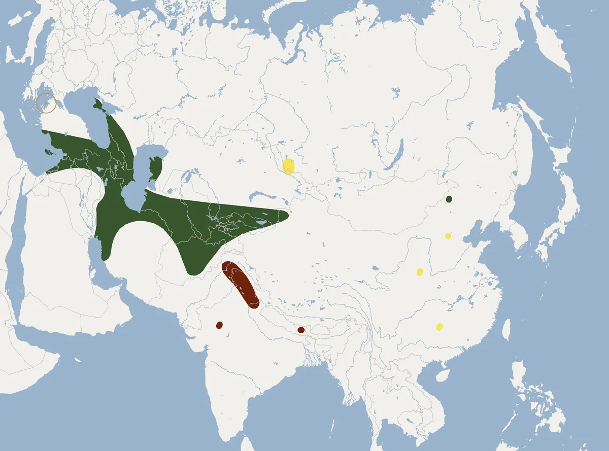Murciélago ratonero menor