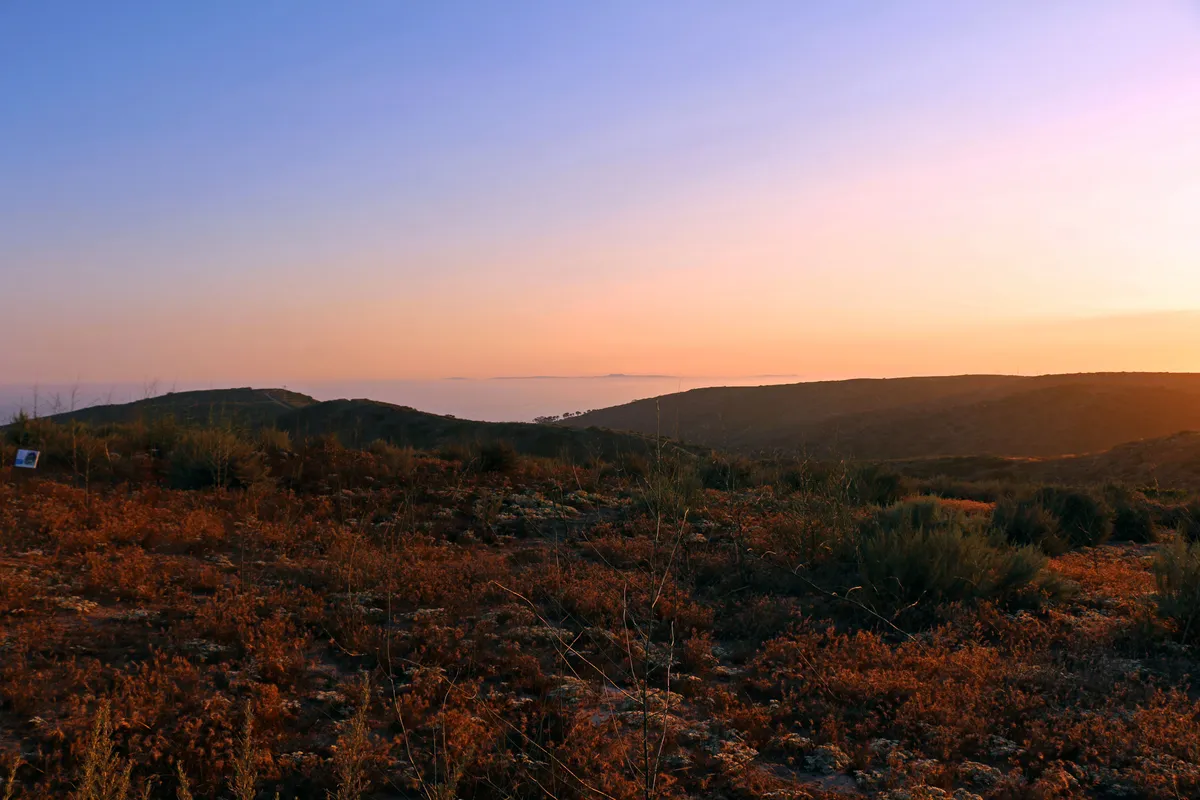 Perognathus longimembris