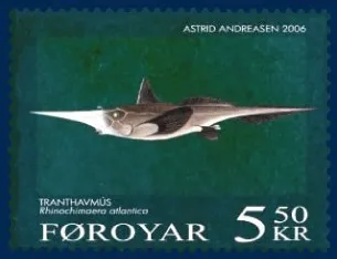 Rhinochimaera atlantica